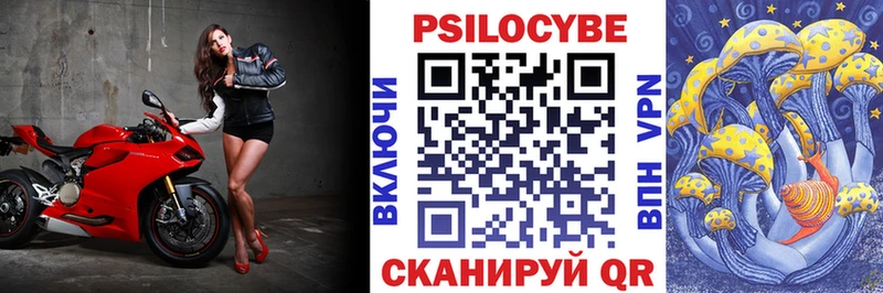 Псилоцибиновые грибы Psilocybe  дарк нет официальный сайт  Клин 